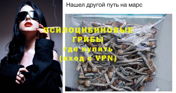 apvp Беломорск